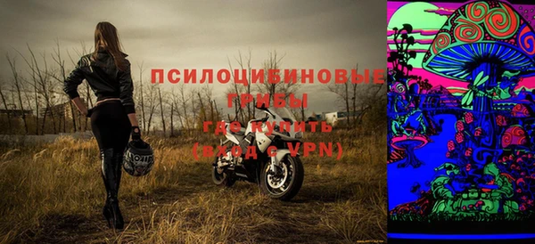 МДПВ Алексин